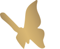 Gold Butterfly facing left